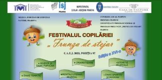 afisul festivalului copilariei