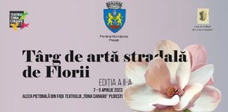 afis targ arta stradala florii
