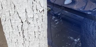 SGU a văruit copacii și mașinile din Ploiești