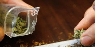 drog cannabis