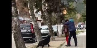 femeie atacata caine nehoiu buzau