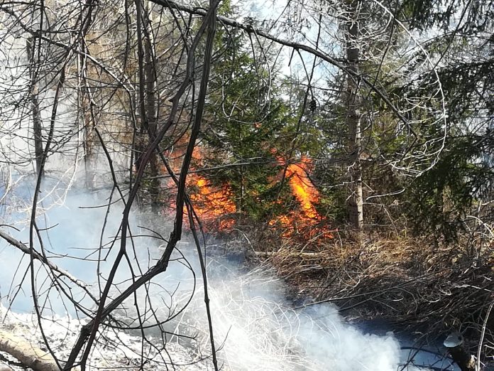 incendiu vegetatie comarnic incendiu vegetatie