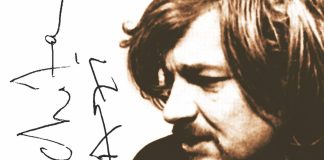 poza afis festival poezie nichita stanescu