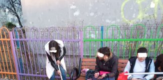 tineri curatenie coji seminte parc ploiesti