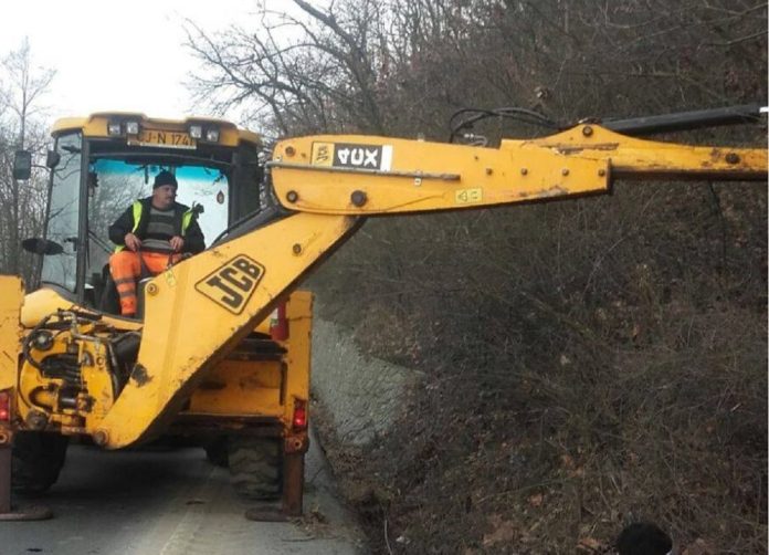 trafic posada brad utilaj copac carosabil