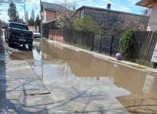 Ați auzit de ”orezăria din Ploiești”? E pe strada Spicului