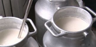 Lapte mai ieftin în următoarele 6 luni