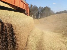 agricultorii din țări UE protestează față de importul cerealelor din Ucraina