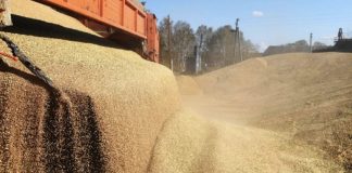 agricultorii din țări UE protestează față de importul cerealelor din Ucraina