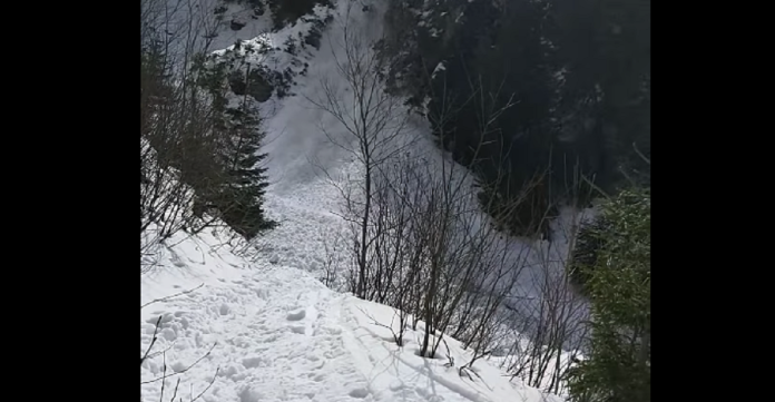 avalansa bucegi