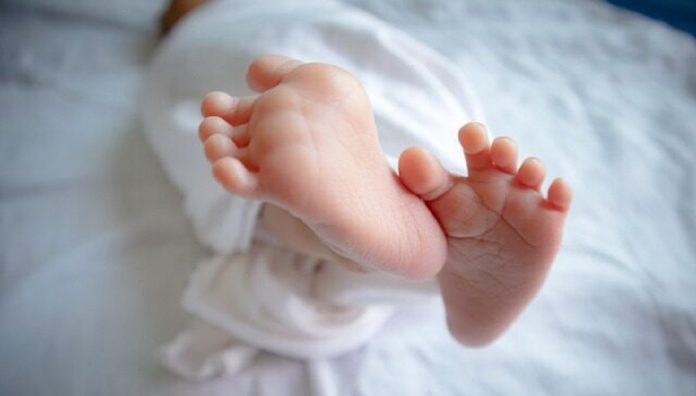 bebe