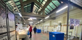 tarabe hale centrale