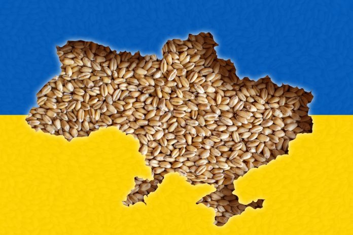 cereale-Ucraina