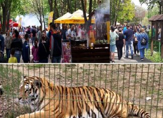Destinație de weekend, de Paște, la iarbă verde, la Parcul Bucov. Invitație la Grădina Zoologică