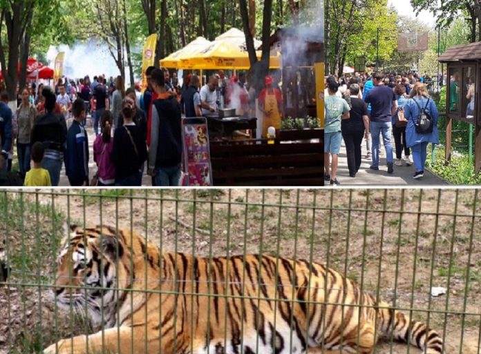 parcul bucov sarbatori Paste