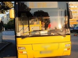 autobuz TCE