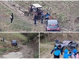 porsche blocat pe un drum forestier