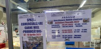 program functionare hale ploiesti paste