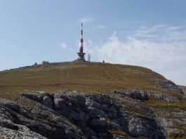 releu costila bucegi