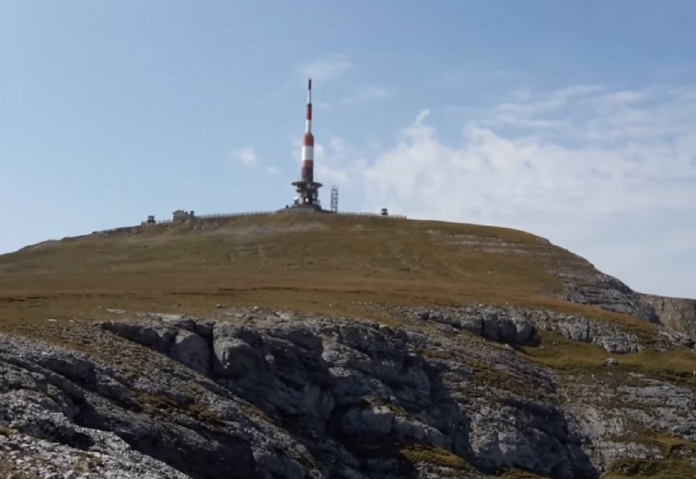 releu costila bucegi