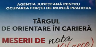 Afis targ cariere